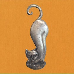 Chat dos rond