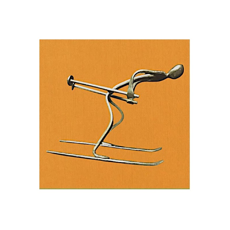 Skieur schuss