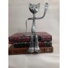 Chat assis